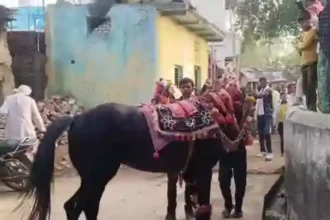 #TraditionalWelcome