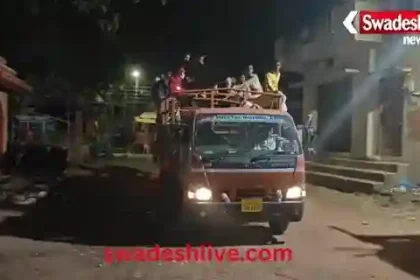 Dhamtari: Late night commotion due to cow smuggling, cow vigilantes caught a matador full of calves.