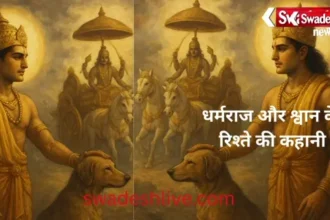 Special Story: A tale of man and dog, loyalty, faith, religion and distance...