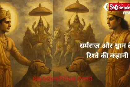 Special Story: A tale of man and dog, loyalty, faith, religion and distance...