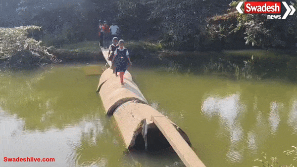 ग्रामीण और बच्चे जोखिम में डालकर नदी पार कर रहे, मगरमच्छ बना स्थायी संकट