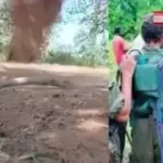 Bijapur Breaking: Major Naxalite plot foiled, 10km tiffin bomb destroyed on the spot by security forces
