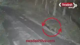 guldar-dastak-chakjogiwala-barkot-range-rishikesh-pinjra