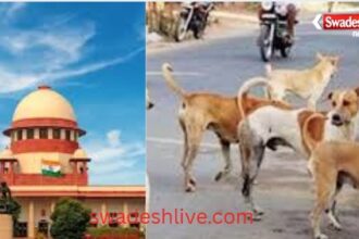 Supreme Court orders: Remove stray dogs from school, college, and hospital premises; sterilize them and place them in shelters; do not release them back to the place of capture.