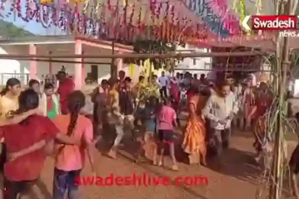Religious fervor: Tulsi-Shaligram marriage celebrated with great pomp in Dudhawa of Narharpur, the entire village became the wedding party!