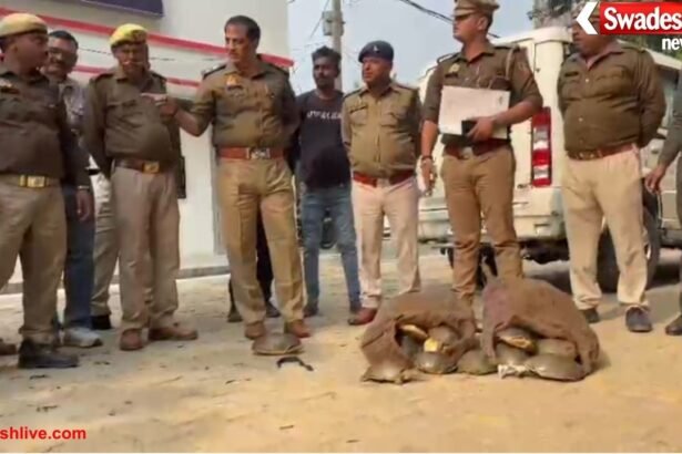 Major action in Mainpuri: Police nab two turtle smugglers