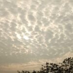 अक्टूबर में मध्यप्रदेश में 2.8 इंच बारिश, अब नवंबर में भी जारी रहेगा बरसात का दौर