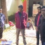 कोरिया में मधुमक्खियों का कहर: मजदूर की मौत, इलाके में दहशत