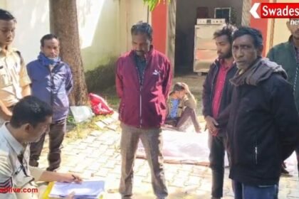 कोरिया में मधुमक्खियों का कहर: मजदूर की मौत, इलाके में दहशत