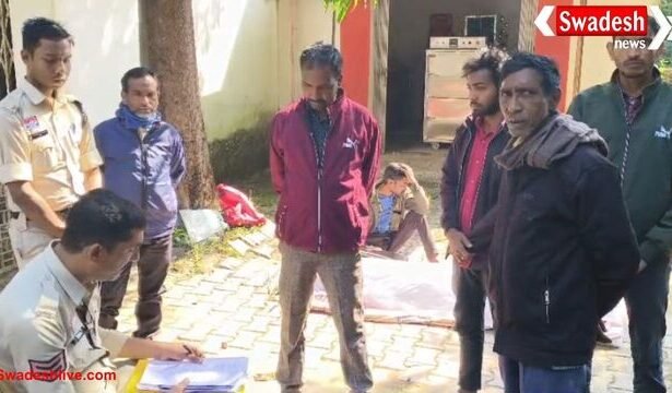 कोरिया में मधुमक्खियों का कहर: मजदूर की मौत, इलाके में दहशत