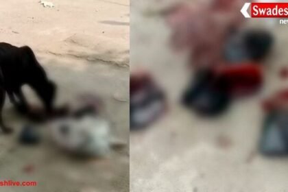 डबरा: ब्लड बैंक में बड़ी लापरवाही, कचरे में मिले कई खून के पैकेट्स, स्वास्थ्य व्यवस्था पर उठे सवाल