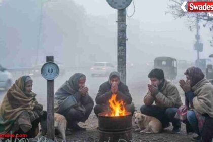 मध्य प्रदेश में शीतलहर का अलर्ट: 11 शहरों में पारा 10° से नीचे, देवास में स्कूलों का समय बदला