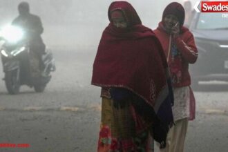 मध्य प्रदेश में शीतलहर का अलर्ट: 10 जिलों में पारा 10° से नीचे, राजगढ़ सबसे ठंडा