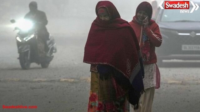 मध्य प्रदेश में शीतलहर का अलर्ट: 10 जिलों में पारा 10° से नीचे, राजगढ़ सबसे ठंडा