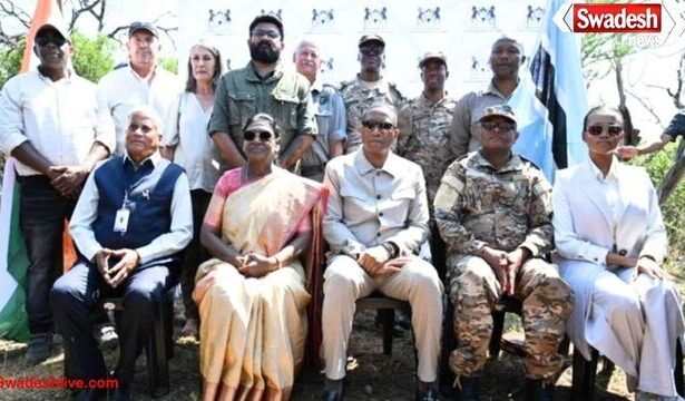 बोत्सवाना ने राष्ट्रपति मुर्मू को सौंपे आठ चीते, क्वारंटीन के बाद भारत लाए जाएंगे