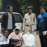 फिंगेश्वर पुलिस ने गांजा तस्करी में दो युवकों को किया गिरफ्तार