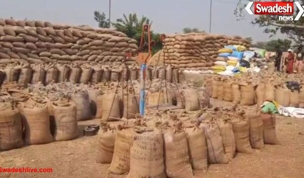 बेमेतरा में आज से शुरू हुई धान खरीदी, किसानों के लिए तैयारियां पूरी