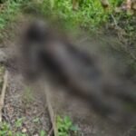 कुम्हारी में मानव नर कंकाल मिलने से फैली सनसनी