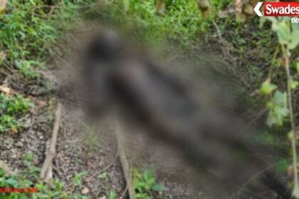 कुम्हारी में मानव नर कंकाल मिलने से फैली सनसनी