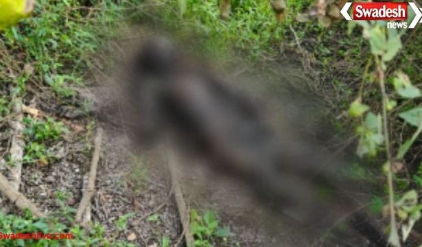 कुम्हारी में मानव नर कंकाल मिलने से फैली सनसनी