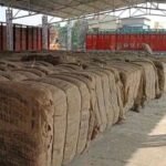 धान खरीदी केंद्रों के कर्मचारी चार सूत्रीय मांगों को लेकर हड़ताल पर, किसानों की बढ़ी मुश्किलें