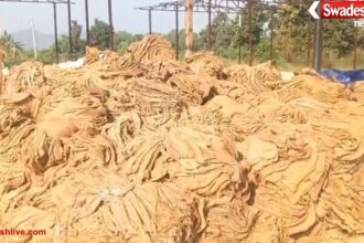 CG: धान खरीदी केंद्रों में मिलरों की लापरवाही उजागर, फटे–पुराने बारदानों से बढ़ी किसानों की परेशानी