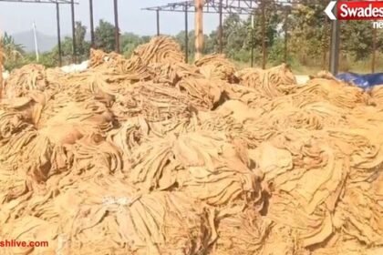 CG: धान खरीदी केंद्रों में मिलरों की लापरवाही उजागर, फटे–पुराने बारदानों से बढ़ी किसानों की परेशानी