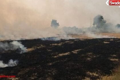 ग्वालियर में पराली प्रतिबंध बेअसर, आधे खेतों में जल रही फसल