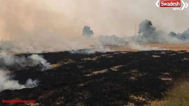 ग्वालियर में पराली प्रतिबंध बेअसर, आधे खेतों में जल रही फसल