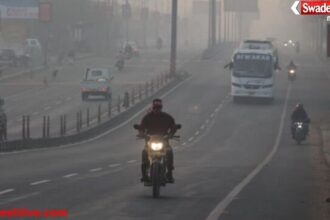 MP: ठंड हुई फीकी, तापमान चढ़ा 15° के पार; मौसम विभाग ने दो दिन बाद ठिठुरन की दी चेतावनी