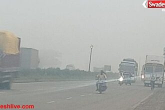 MP के 12 शहरों में पारा 10° से नीचे, कई जगह कोहरा; एक्सपर्ट बोले- सुबह गाड़ी ध्यान से चलाएं