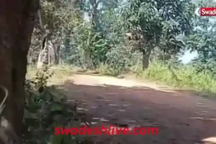 Bijapur Breaking News