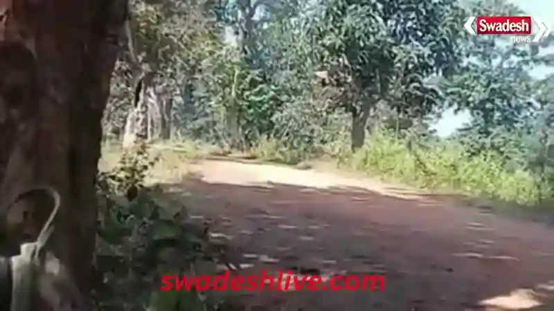 Bijapur Breaking News