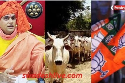 Cow Protection 2025 Chakrapani Aalligation