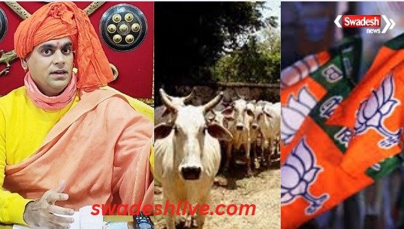 Cow Protection 2025 Chakrapani Aalligation