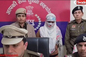 Haryana News