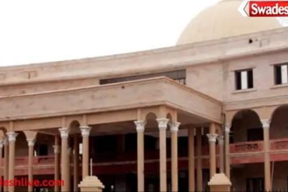 MP News: Top 10 News