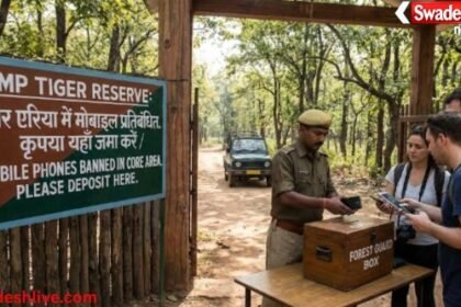 MP Tiger Reserve