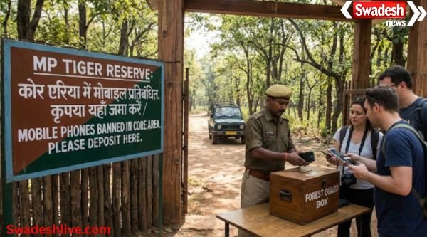 MP Tiger Reserve