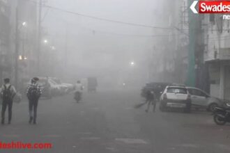 MP Weather News