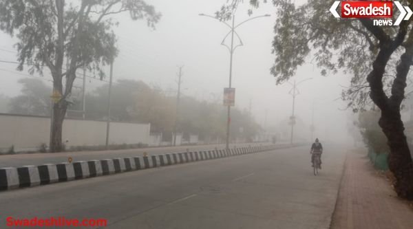 MP Weather: कोहरे की चादर में लिपटा मध्यप्रदेश, ट्रेन और उड़ानें लगातार लेट - Swadesh News
