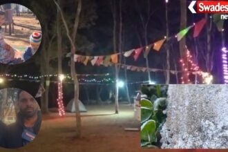 Sarguja