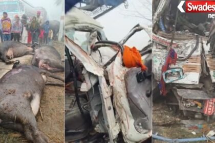 Sambhal: Tragic accident in dense fog, truck and Bolero pickup collide