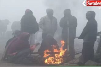 MP में कड़ाके की ठंड का कहर, शहडोल में पारा 3° तक गिरा