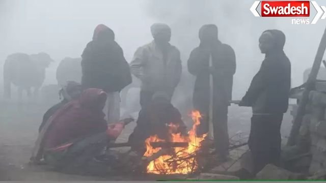 MP में कड़ाके की ठंड का कहर, शहडोल में पारा 3° तक गिरा