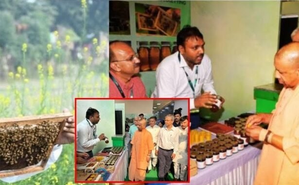 CM Yogi Adityanath's start-up promotion policies have given Barabanki's Beekeewala firm global recognition.