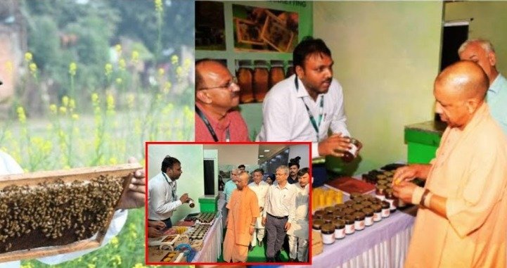 CM Yogi Adityanath's start-up promotion policies have given Barabanki's Beekeewala firm global recognition.