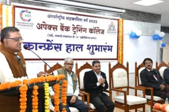 apex bank bhopal