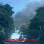 bhopal-satpura-bhavan-fire-bushes-smoke-police-investigation