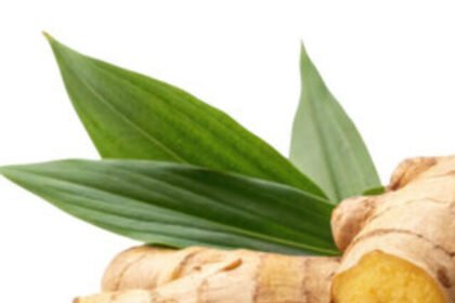 360_F_1602153401_SM0MO0awAh6ahqJTMieMJqaj3MTmoIMU